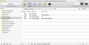 Acf true false data in postmeta table
